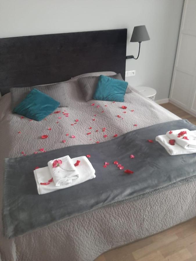 Apartamenty Koci Ogon Stary Toruń المظهر الخارجي الصورة