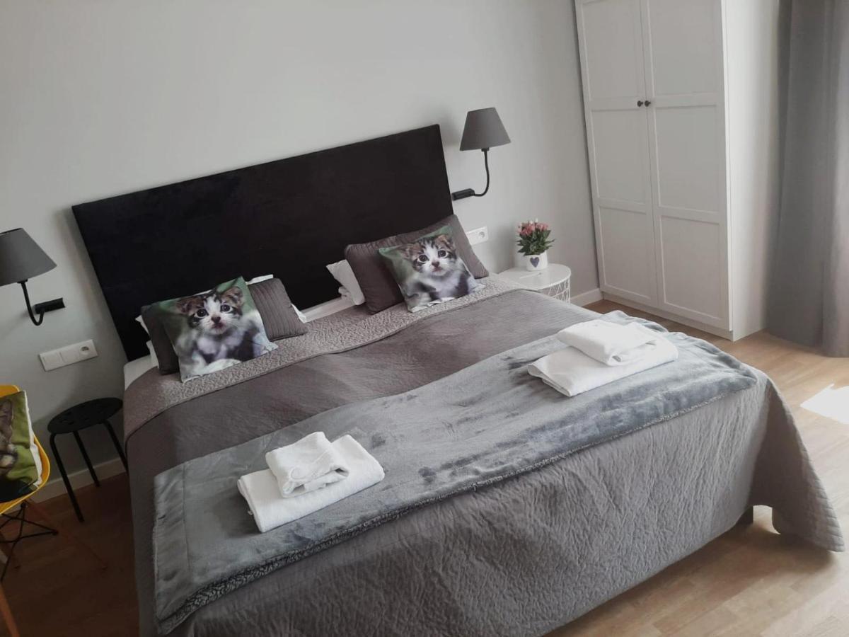 Apartamenty Koci Ogon Stary Toruń المظهر الخارجي الصورة