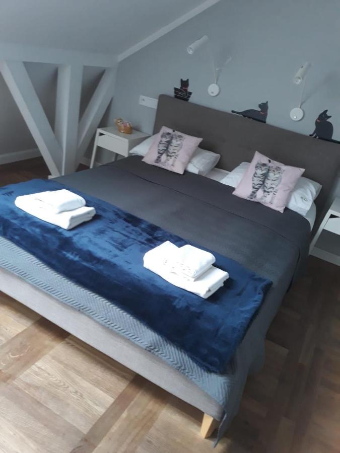 Apartamenty Koci Ogon Stary Toruń المظهر الخارجي الصورة
